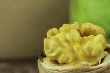 核桃催熟的方法