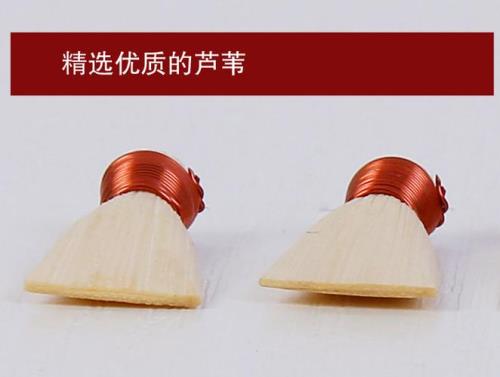 新手为什么不建议用芦苇哨片
