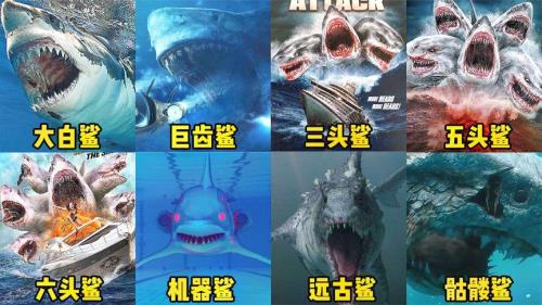 五个头八个角的鲨鱼