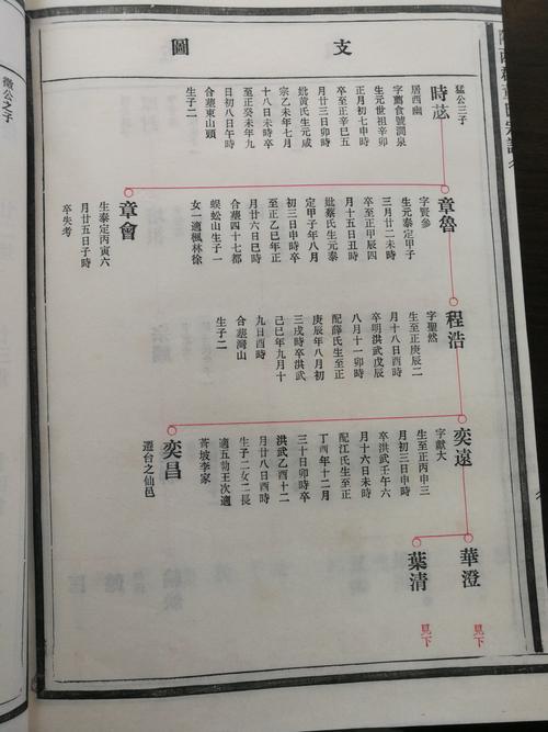 家谱配偶怎么写