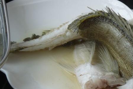沙姜蒸鲤鱼的做法
