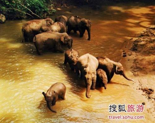 亚象是什么意思