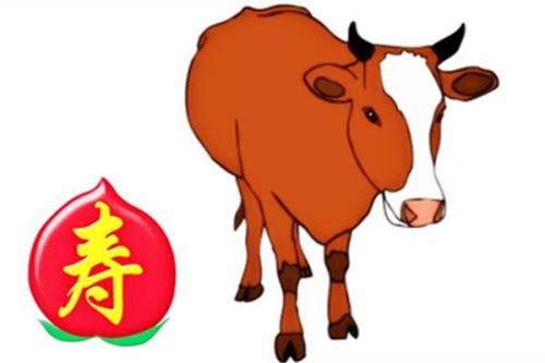 1992年36岁是本命年吗