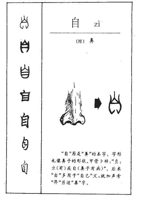 自说什么意思