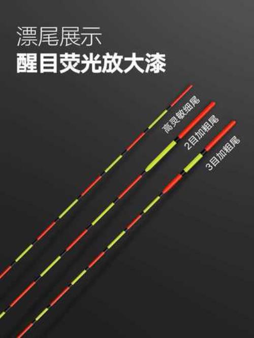 走水浮漂上下浮动是怎么回事