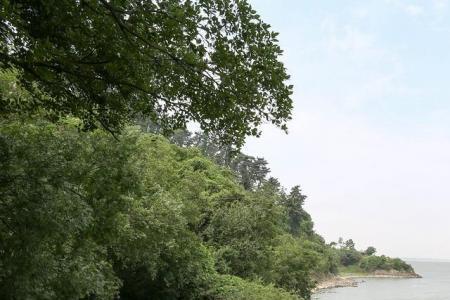 山岛风行什么意思