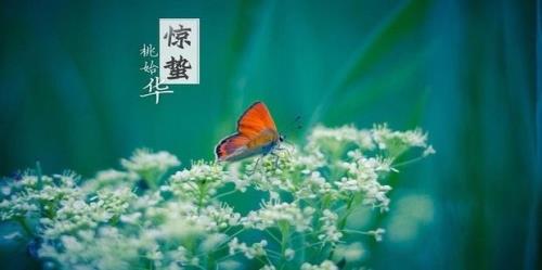 惊蛰云不停啥物理现象