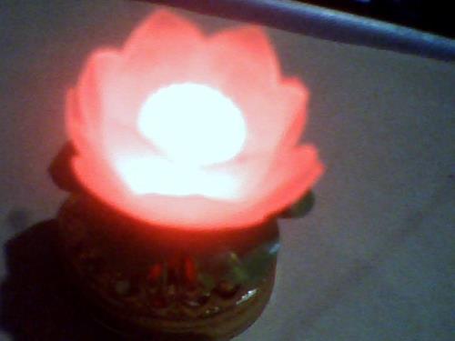 在寺庙点莲花灯的祈福语怎么写