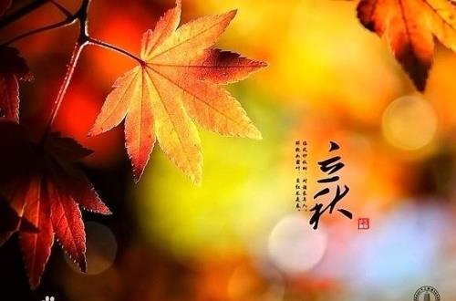 立秋草木皆休啥意思
