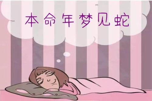 202几年是蛇的本命年
