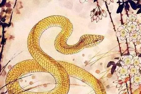 猴子与蛇相斗谁赢了