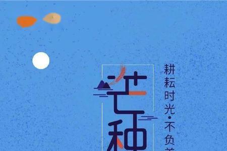 播种梦想是什么意思