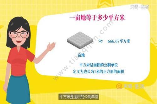 一亩二等于多少平方