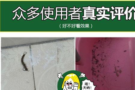 石斛潮虫用什么杀