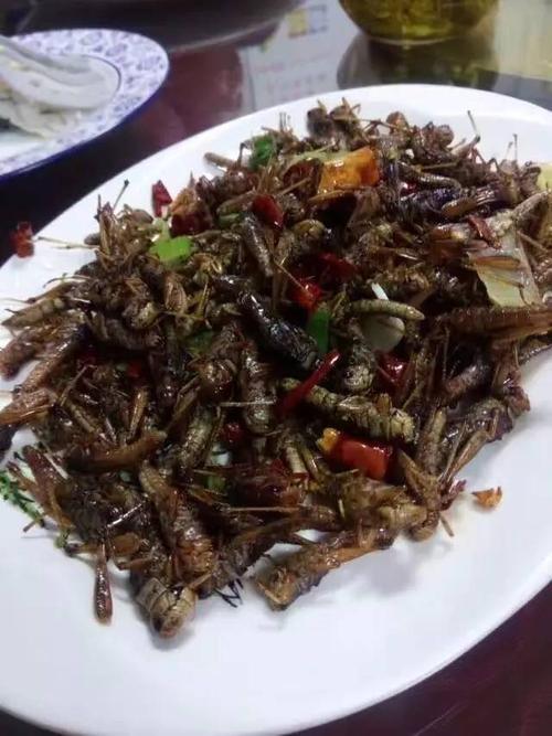 吃蚂蚱朋友圈文案