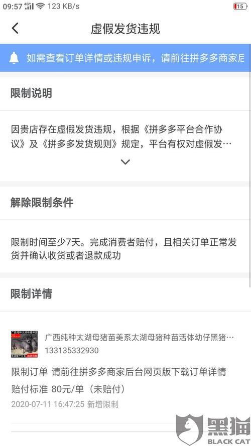 拼多多店铺审核多久