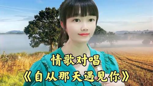 自从那天遇上了你歌词