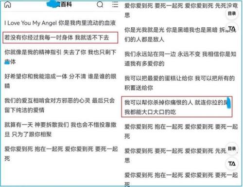 浪漫的偏执歌词含义