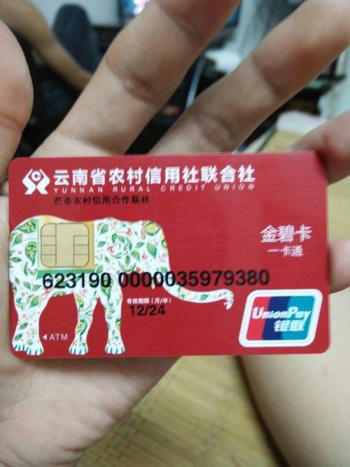 云南农村信用社开户行怎么查