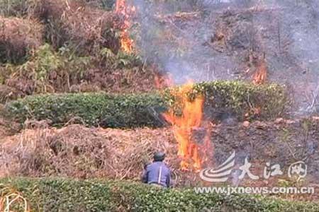 永州大火烧山事件始末