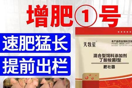 用膘组词