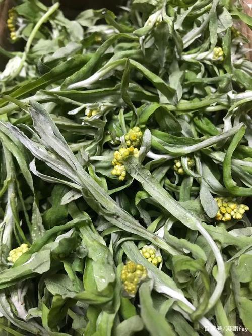 清明果开什么样的花