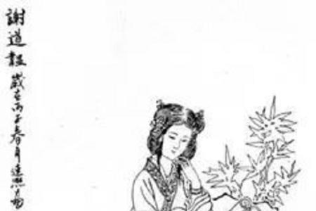 王献之与谢道韫的关系