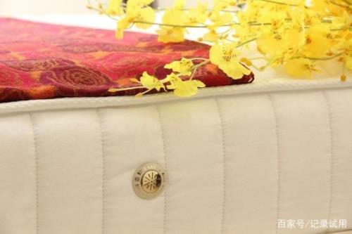 金巧儿床垫是哪产的