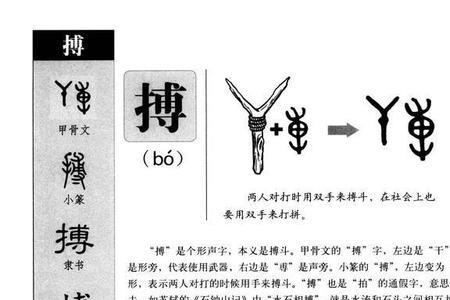 络说文解字