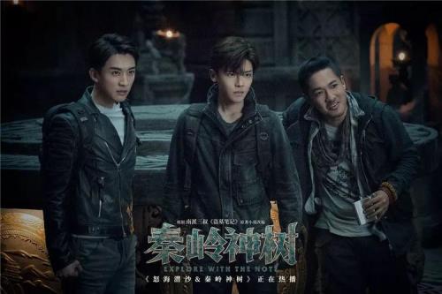 秦岭神树虫子叫什么