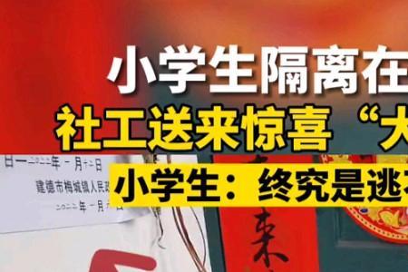 隔离在家送什么好