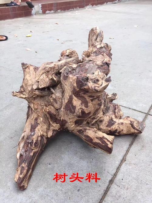 海黄花梨树有洞能长回洞吗