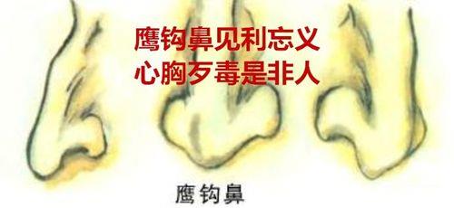 鼻贯印是什么
