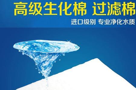 鱼缸过滤棉为什么一股霉味