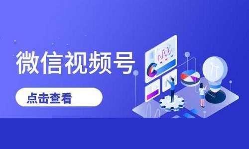 视频号信用分显示零