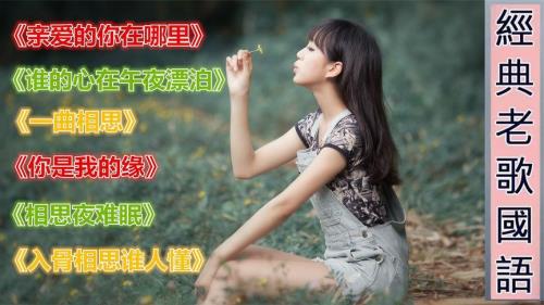 心的漂泊原唱完整版