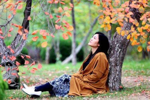 林间煮酒烧红叶诗意