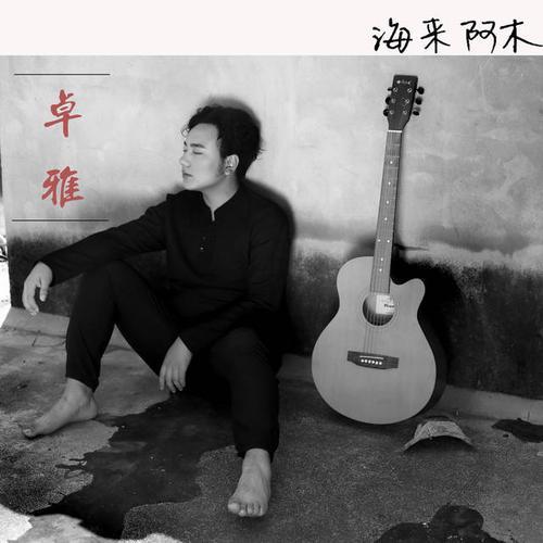海来阿木最火的十首歌别知己