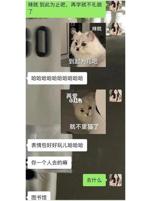 如何约男朋友出来玩