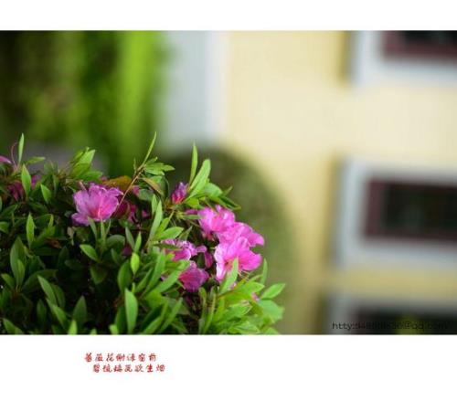 窗前莺共语出自哪里