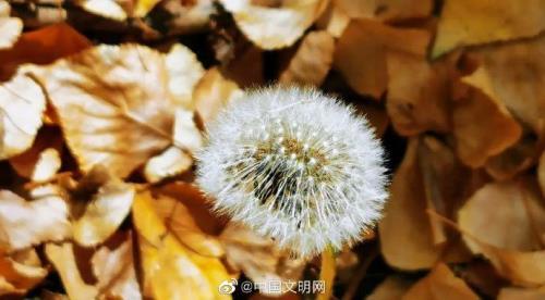 立冬这天剪头好吗