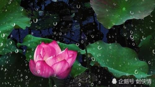 夏雨滂沱注音