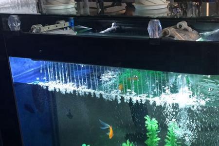 养鱼是氧气好还是循环水好