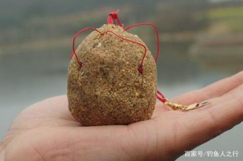 秋分钓鲤鱼的时间
