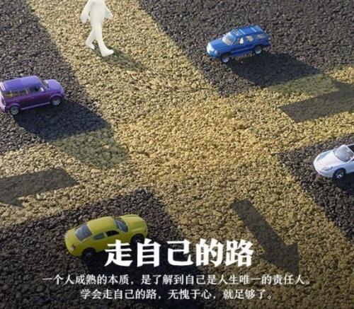 人生路上有苦也有甜歌名
