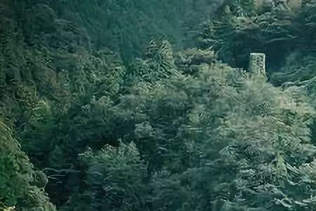 旅途劳累什么意思