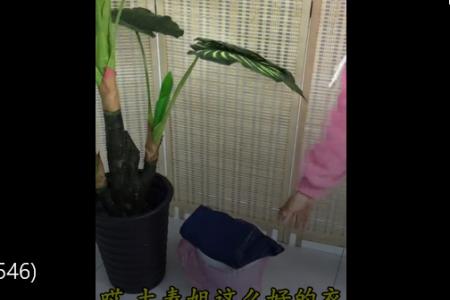 裤子掉色在沙发上怎么处理