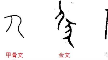 伏姓稀有还是罕见