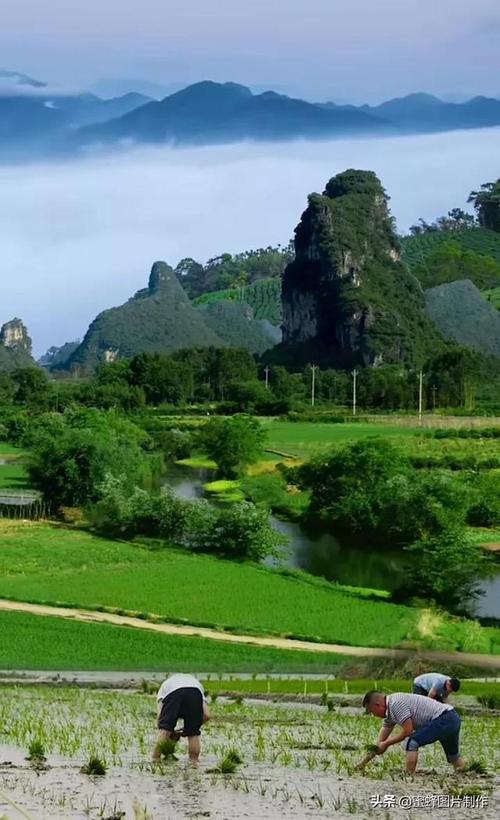 风景如画造句