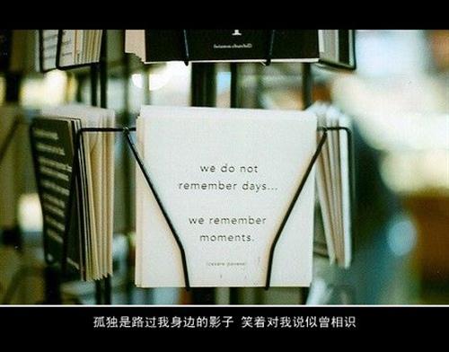 愚蠢的执着的说说